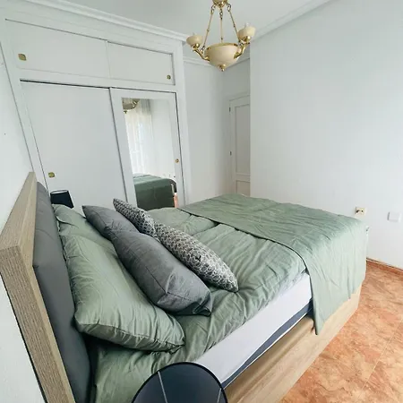 Penthouse Beachview アパート トレビエハ