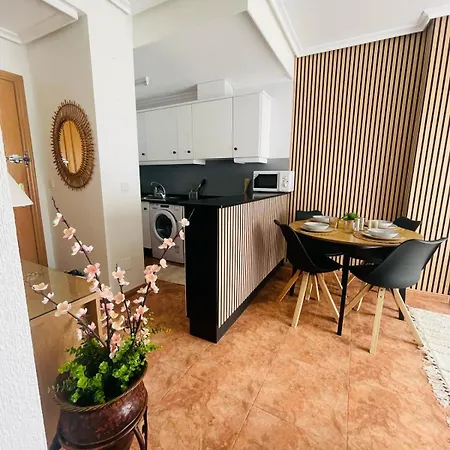 Penthouse Beachview トレビエハ